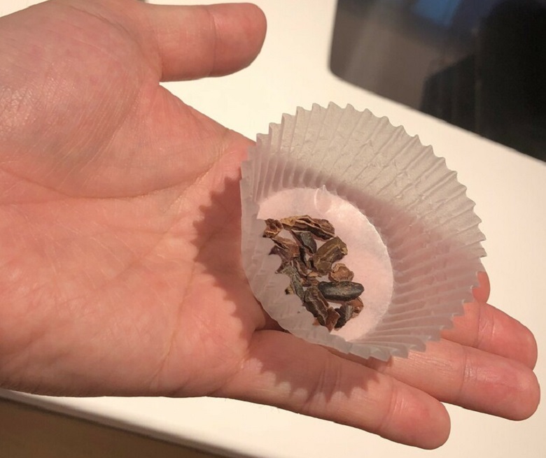 ハローチョコレートツアー_カカオニブ