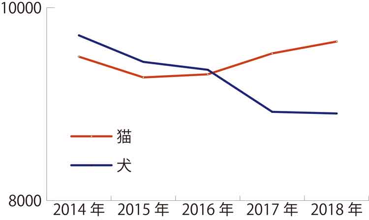 犬猫飼育頭数グラフ